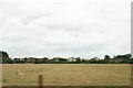 View of houses on Dymchurch Road from the Romney, Hythe & Dymchurch Railway