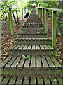 Steps up the wooded slope to the hills