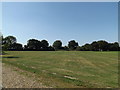 TM1494 : Tacolneston Recreation Ground by Geographer