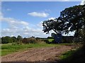 Farm working area, Westmere