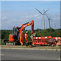 Road works, Dittons Road