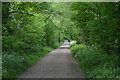 Sussex Border Path