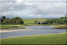 NT7938 : River Tweed near Carham by JThomas