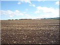 NT8737 : Farmland near Branxton by JThomas