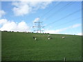 NT8738 : Hillside grazing and pylon by JThomas
