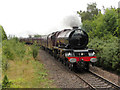 Princess Elizabeth at Pontypool & New Inn station