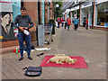 A street artist in Galashiels