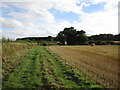 Bridleway to the Laxton-Kneesall road