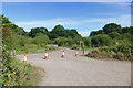 Path junction, Bookham Common