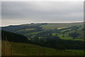 NY7753 : Looking down West Allendale from the A686 by Christopher Hilton
