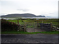 F6305 : Sheep pen beside a minor road north of Keel by John Lucas