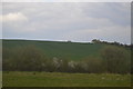 TQ5987 : Essex Farmland by N Chadwick