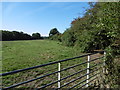 Footpath from Fysie Lane