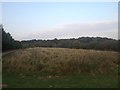 Fermyn Woods Country Park