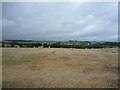 Stubble field and bales near the River Tweed