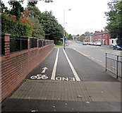 SJ8989 : White-marked cycle lanes, Edgeley, Stockport by Jaggery