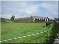 Grazing, Roxburgh Barns