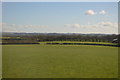 ST5429 : Somerset grazing land by N Chadwick