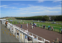 TQ3305 : Brighton Racecourse by Paul Gillett