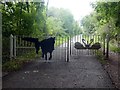 Gates on the Kingfisher Trail