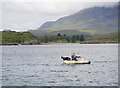 Mail boat, Soay