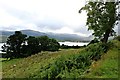 NN5934 : View above Loch Tay by Richard Hoare