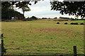 Farmland near St Quivox