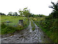 Muddy lane, Gallan Upper