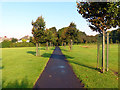 Sunny morning, Moorside Park