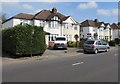 Bus stop sign in a Hatherley Road hedge, Cheltenham