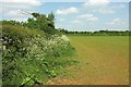 Field near Todber