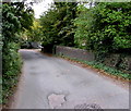 Road bridge over Nailsworth Stream, Woodchester