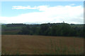 Crop field near Faughill