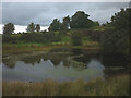 Pond at Lees Hill Quarry