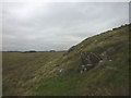 Sandstone outcrops, Torties