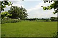 Field near Todber