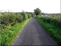 H4071 : Falskey Road, Cavanacaw Upper by Kenneth  Allen