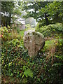 Cornish Cross, Sancreed