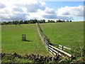 New hedgerow near Swell Wold Farm