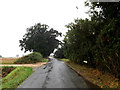 TL9575 : Bardwell Road, Bowbeck by Geographer
