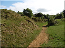 ST4716 : Path through the Victorian quarry spoil heaps, Ham Hill by Roger Cornfoot