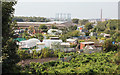 Allotments viewed from St Nicholas Bridges - September 2016