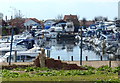 Boats at Newark Marina