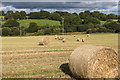 W4576 : Straw bales in a field by David P Howard
