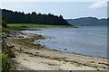 NR7575 : Beach at Tighnahoran by David Lally