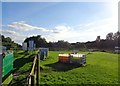 Willow Marsh Fishery, Curslow Lane, Shenstone