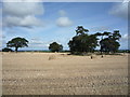 Stubble field and bales, Highmoor