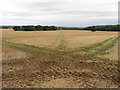 Footpath across fields near Faringdon