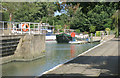 Mooring Basin near Chiswick Bridge