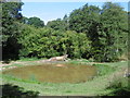 Pond in the valley of the River Teise